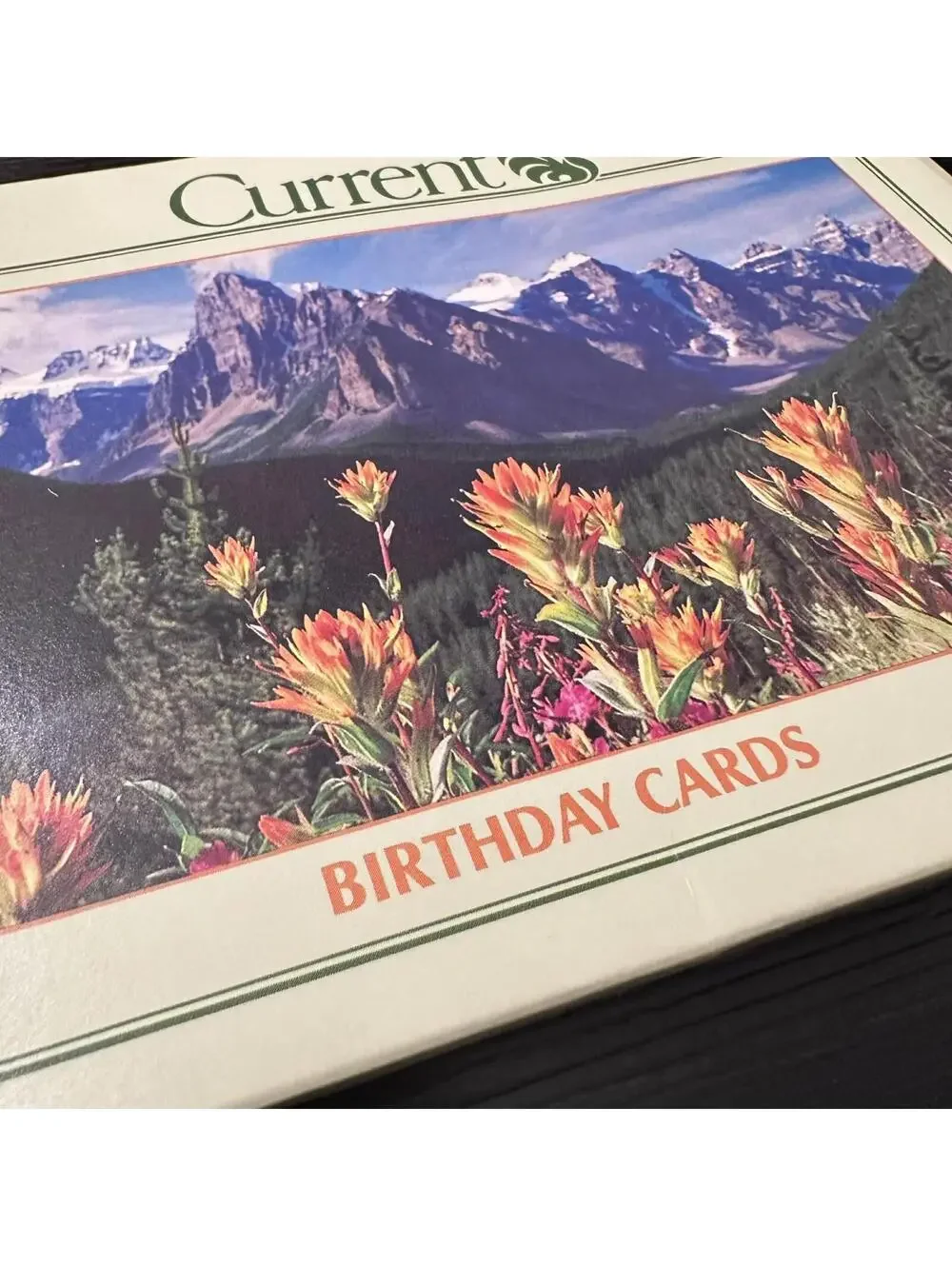 Vintage Current Birthday Cards Floral Mountain Scenic Assortment 8 Ct Sealed